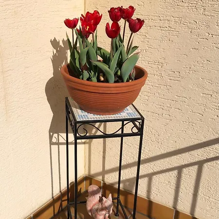 Ferienzimmer Viernheim- Work And Chill Homestay